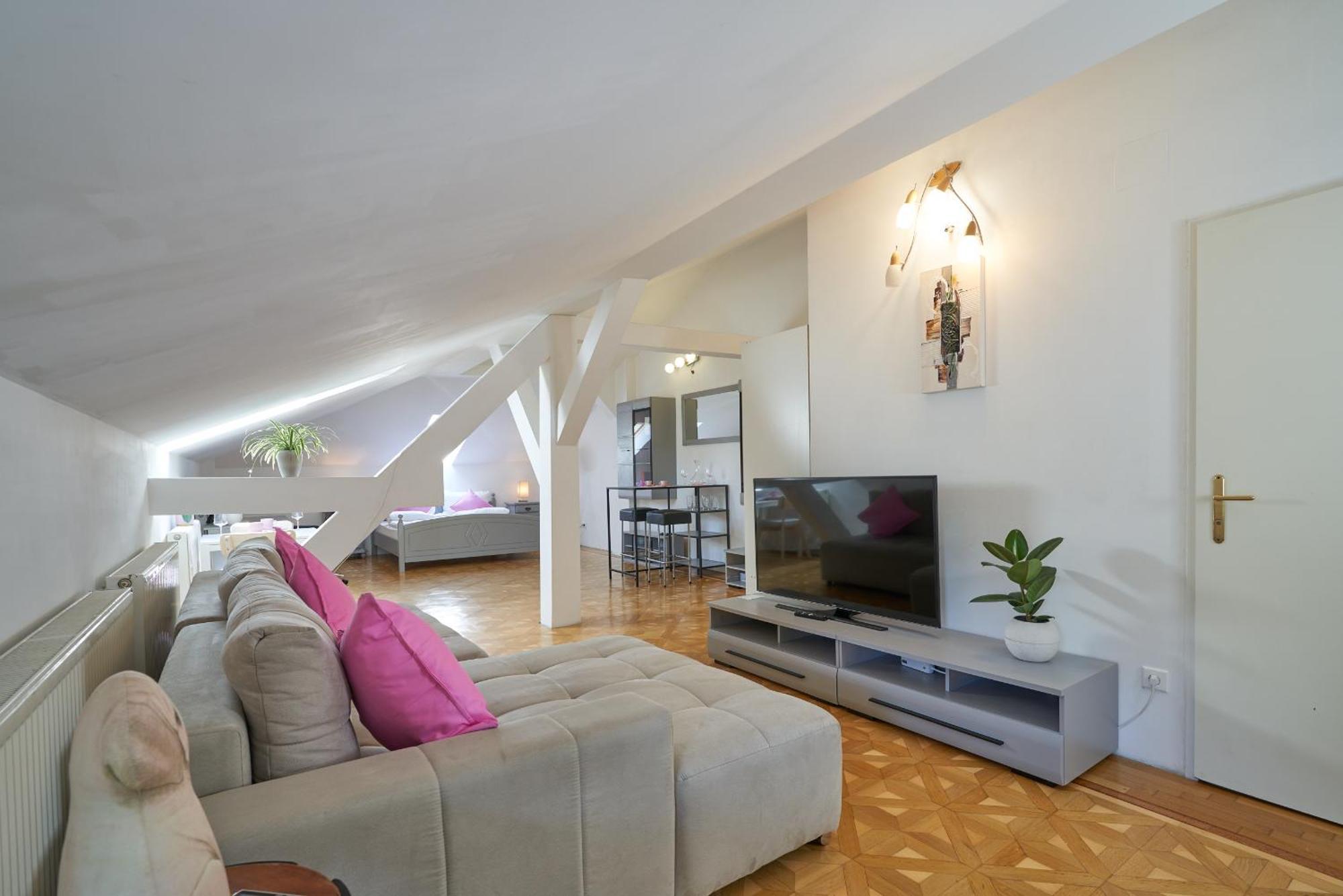 Big Apartment In Guesthouse Baden Exterior photo
